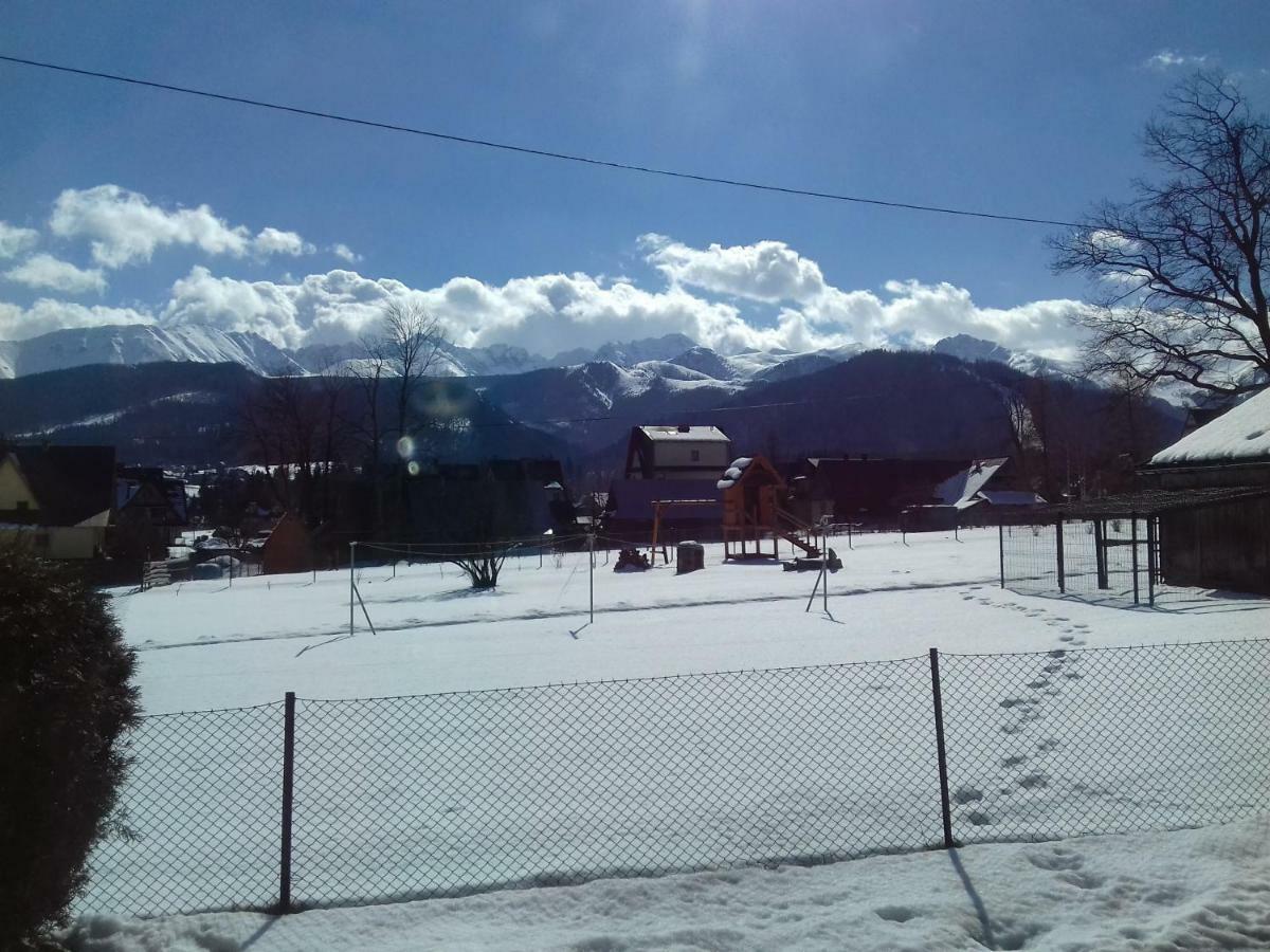 Willa Swajnos Zakopane Exteriör bild